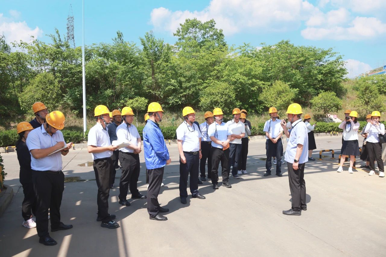 1716190287721878.jpg 02.jpg